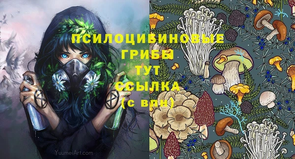 амф Алексин