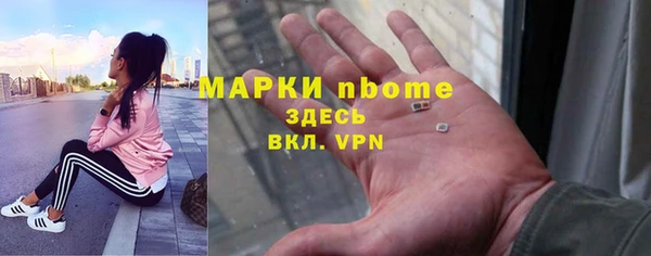 хмурый Алзамай