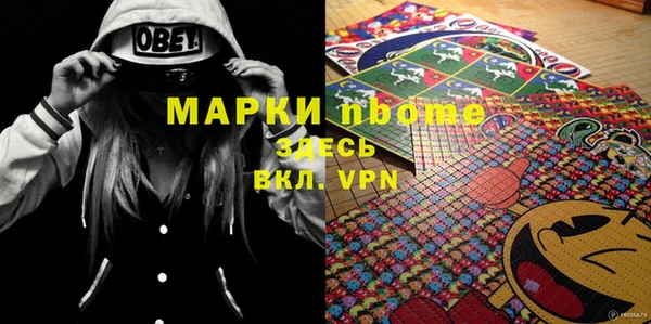 хмурый Алзамай
