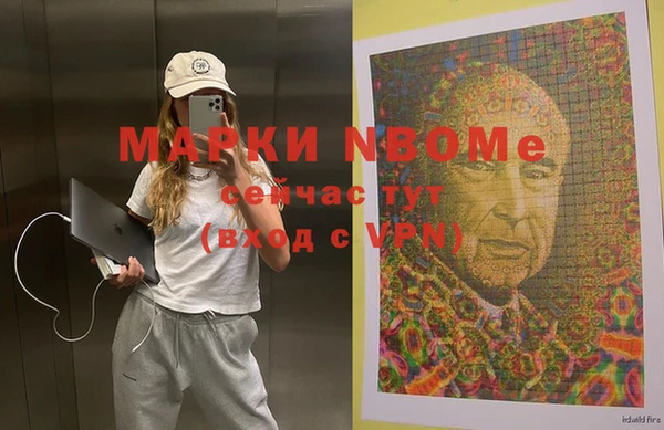 хмурый Алзамай