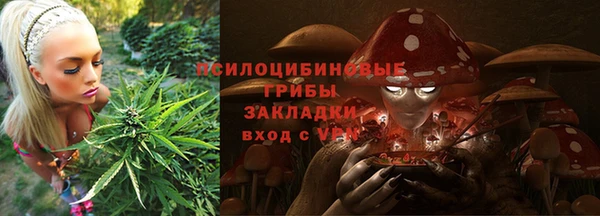 хмурый Алзамай