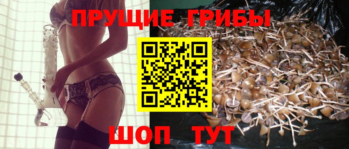 Фролово  Псилоцибиновые грибы Magic Shrooms  Вход с VPN 