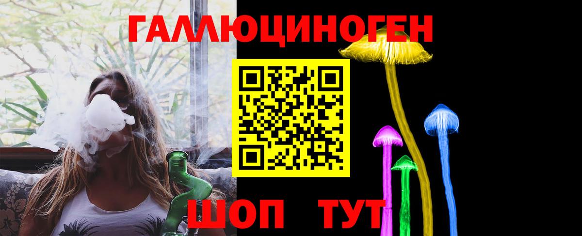 Псилоцибиновые грибы Cubensis Фролово